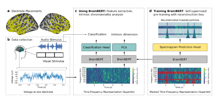 BrainBERT Diagram